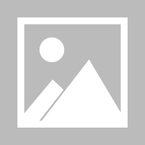 c7娱乐官方网站-瑞士队欧洲杯预选赛战绩