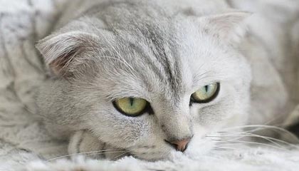 c7娱乐官网|电子竞技赛事v5.8.1