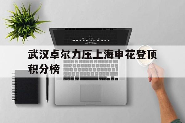 上海申花22武汉卓尔 上海申花22武汉卓尔